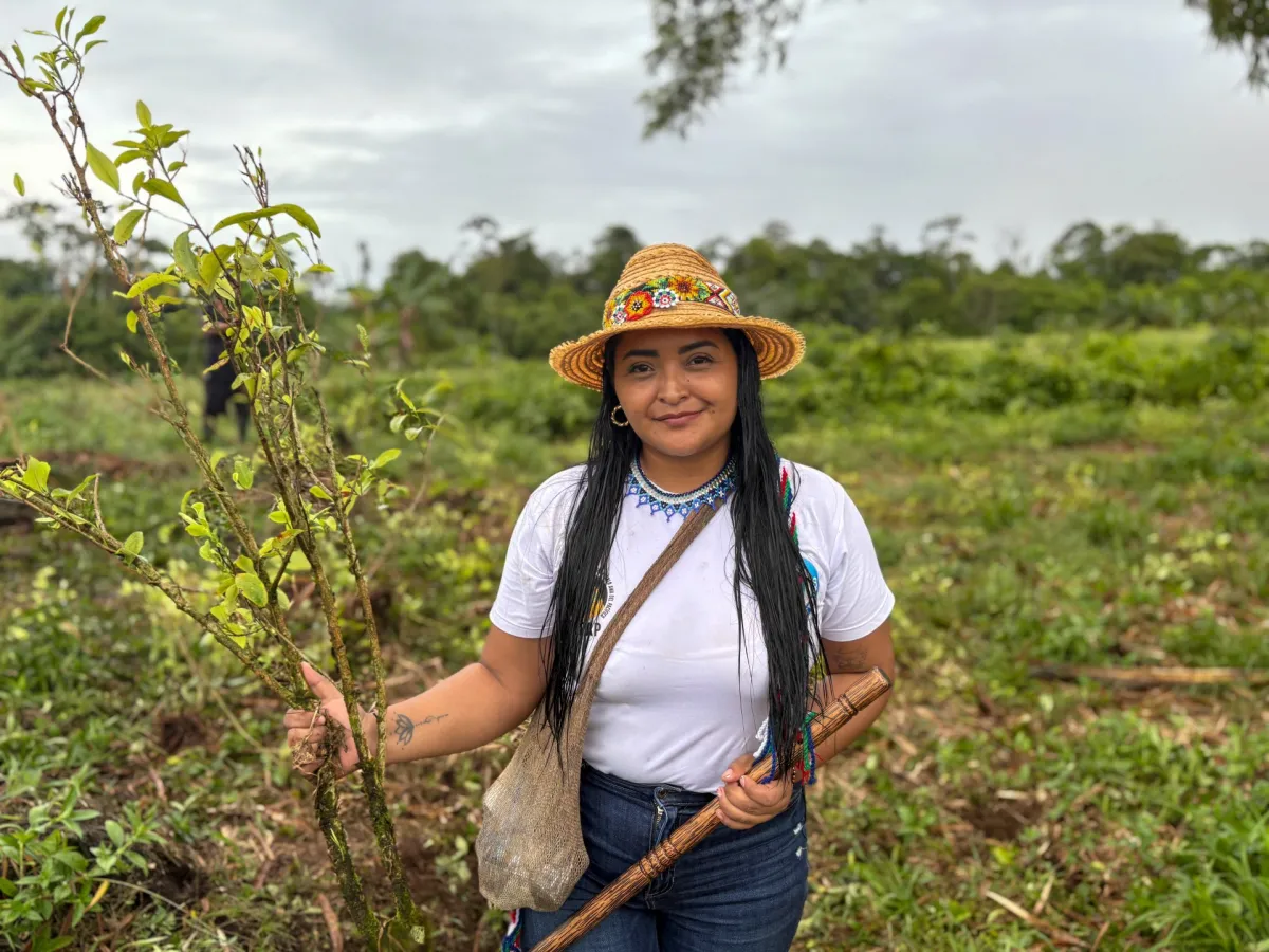 ترامپ و پترو بر سر بهترین روش برای ریشه کن کردن محصولات کوکائین کلمبیا با هم درگیر شدند