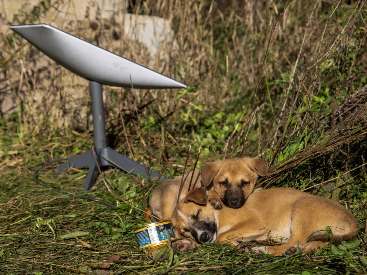 قطع پایانه های استارلینک چگونه بر حرکت روسیه در اوکراین تأثیر می گذارد؟